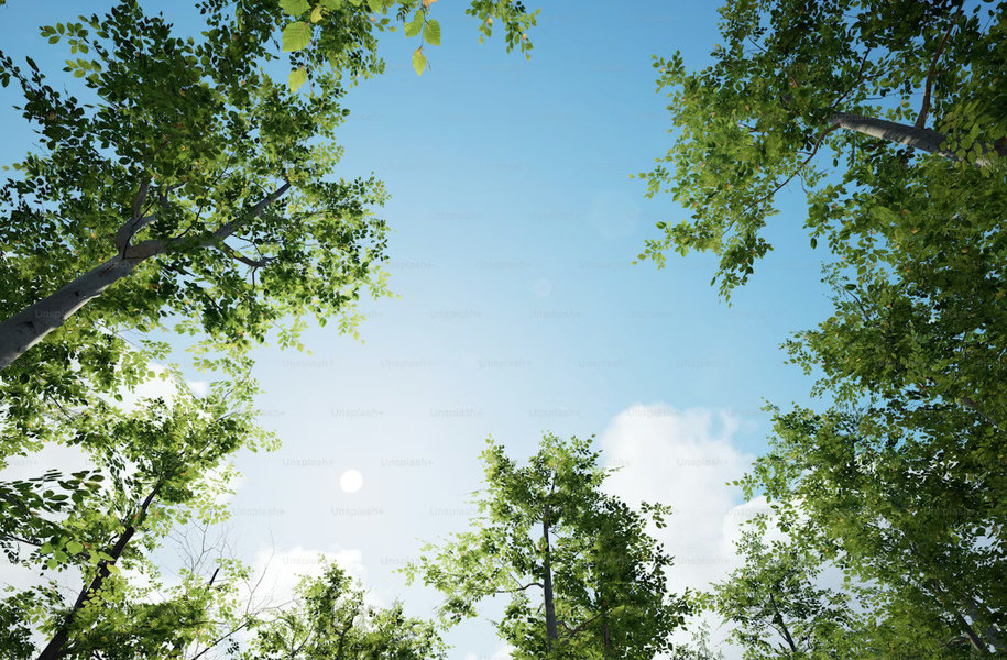 Is Your Air Really Clean? Simple Tests You Can Do at Home