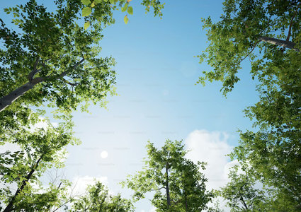 Is Your Air Really Clean? Simple Tests You Can Do at Home