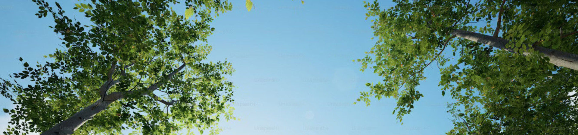 Is Your Air Really Clean? Simple Tests You Can Do at Home