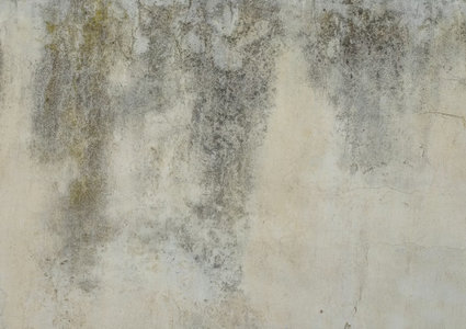 Why Improper Ventilation Is the Main Cause of Moisture and Mold in Your Home