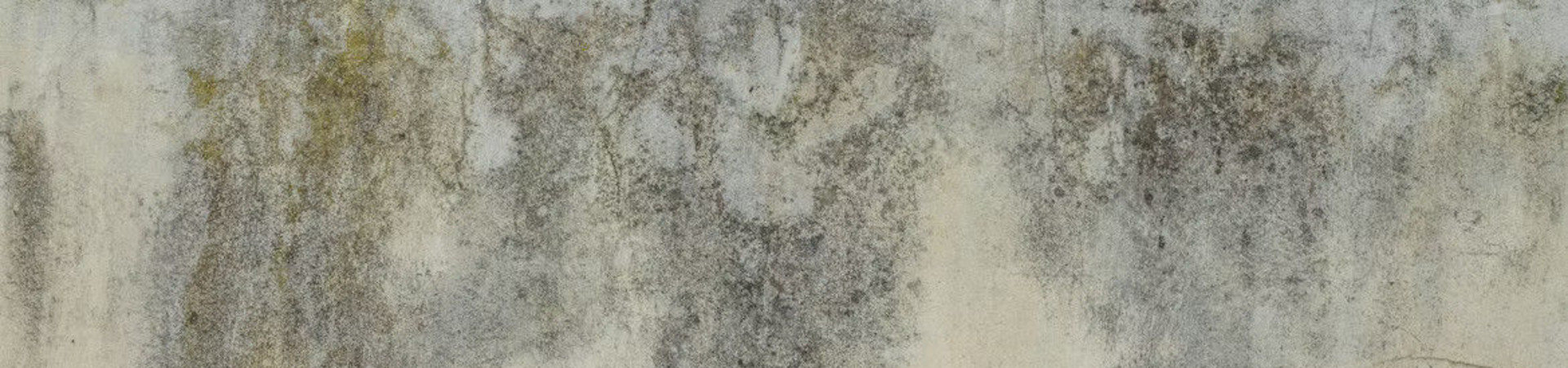 Why Improper Ventilation Is the Main Cause of Moisture and Mold in Your Home