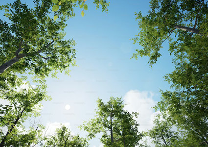 Ali je vaš zrak res čist? Preprosti testi, ki jih lahko opravite doma