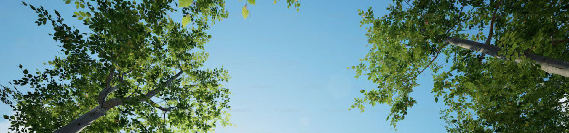 Ali je vaš zrak res čist? Preprosti testi, ki jih lahko opravite doma