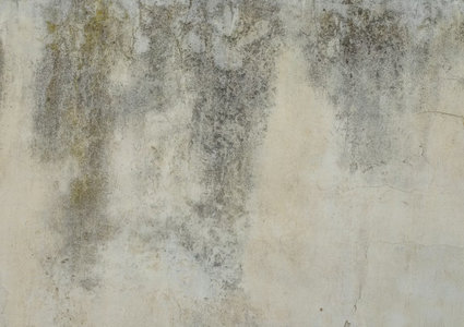 Zakaj je napačno prezračevanje glavni razlog za vlago in plesen v stanovanju