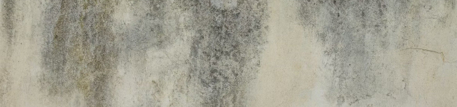 Zakaj je napačno prezračevanje glavni razlog za vlago in plesen v stanovanju