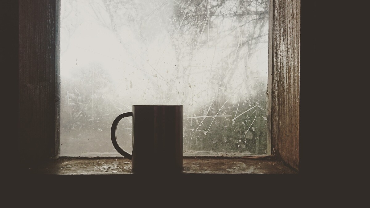 novice-1/israelbest-coffee-1711431